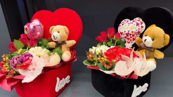 BD3B4A02-CE38-4D1A-9C80-5B24C4DE2FD2_1_105_c