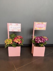 Happy Mother’s Day – Ορτανσία σε Ξύλινο Καφασάκι “Mama I Love You”